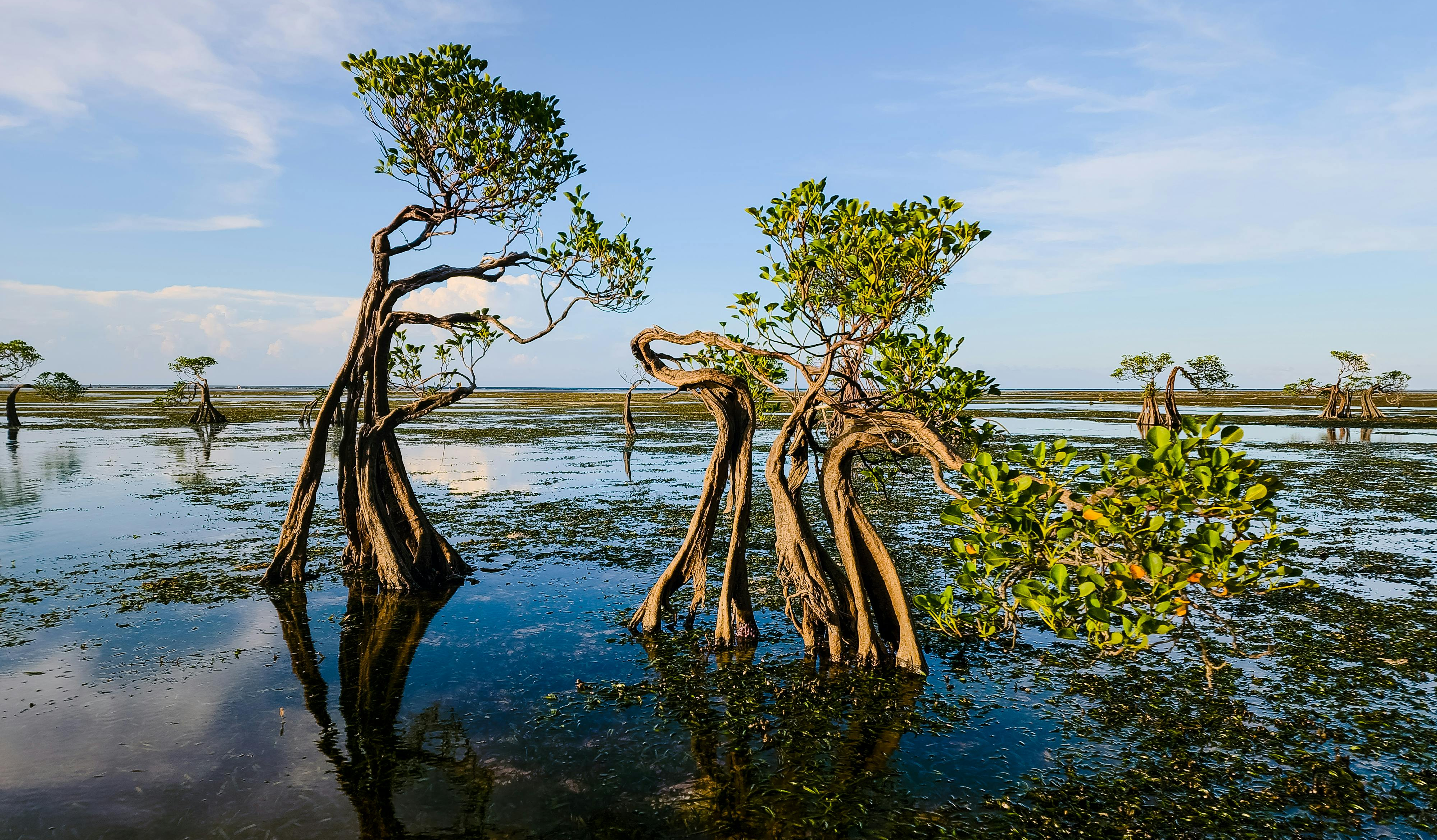 Mempercepat aliran pendanaan iklim