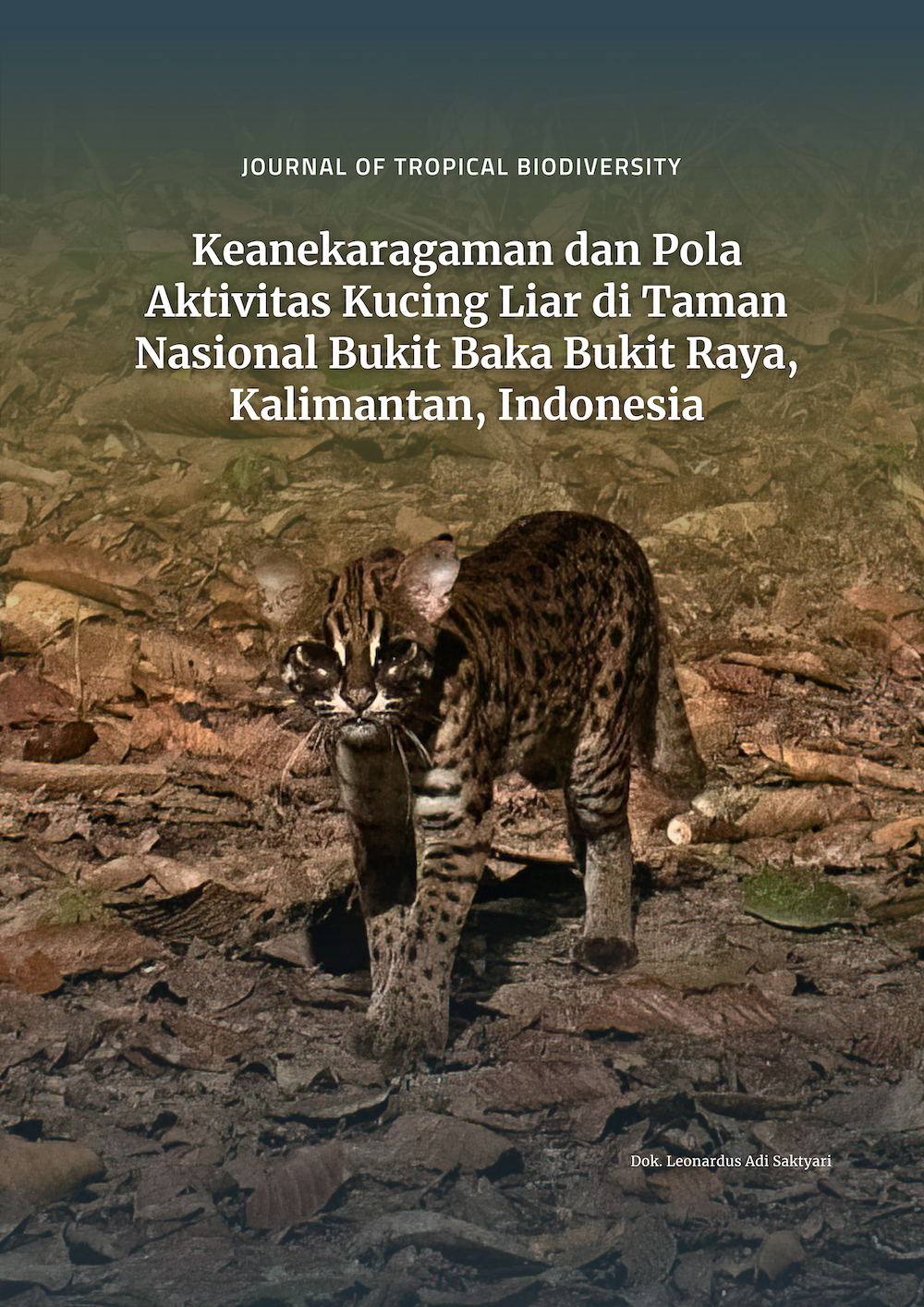 ⁠Journal of Tropical Biodiversity