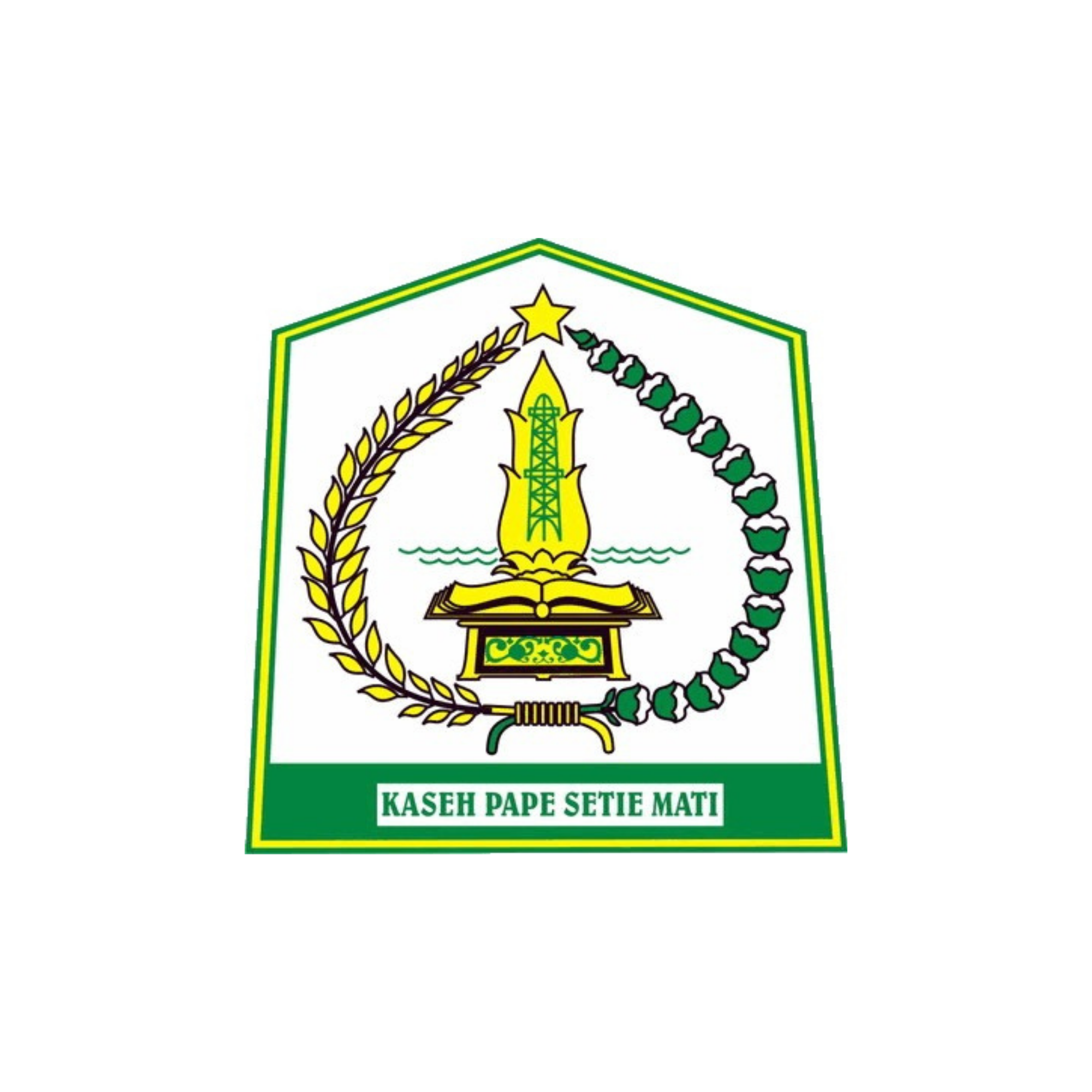 Pemerintah Daerah Kabupaten Aceh Tamiang